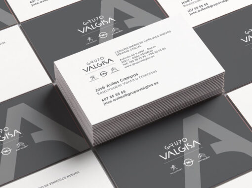Grupo Valgisa