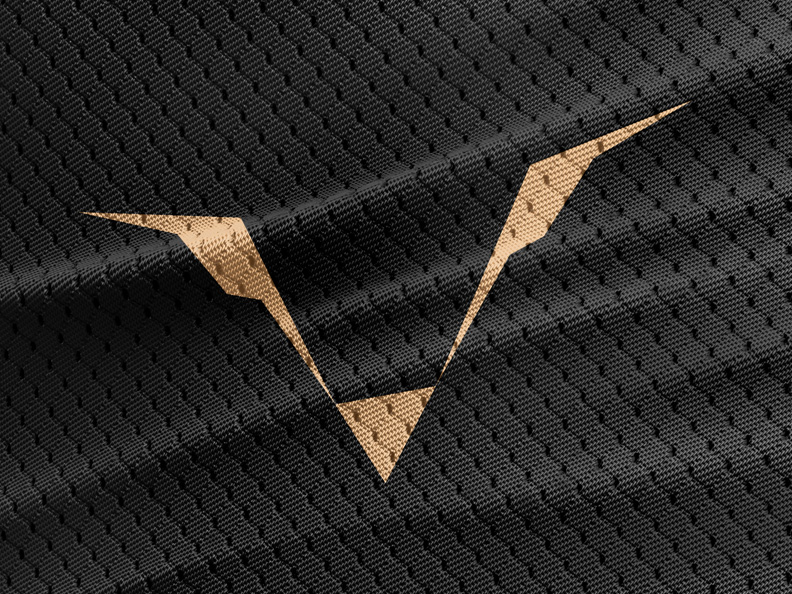 Identidad y web LINZE